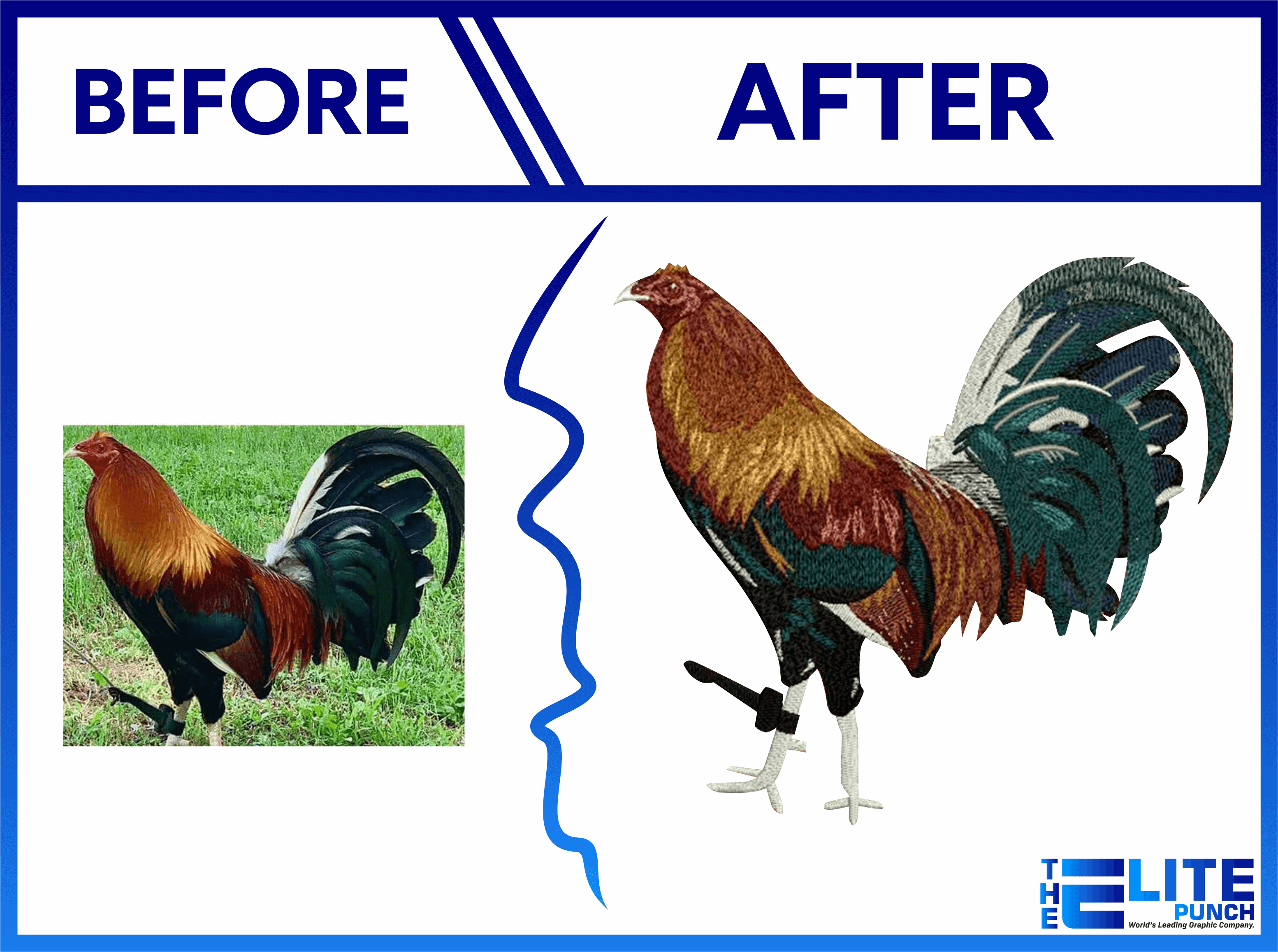 Professional Digitized Artwork