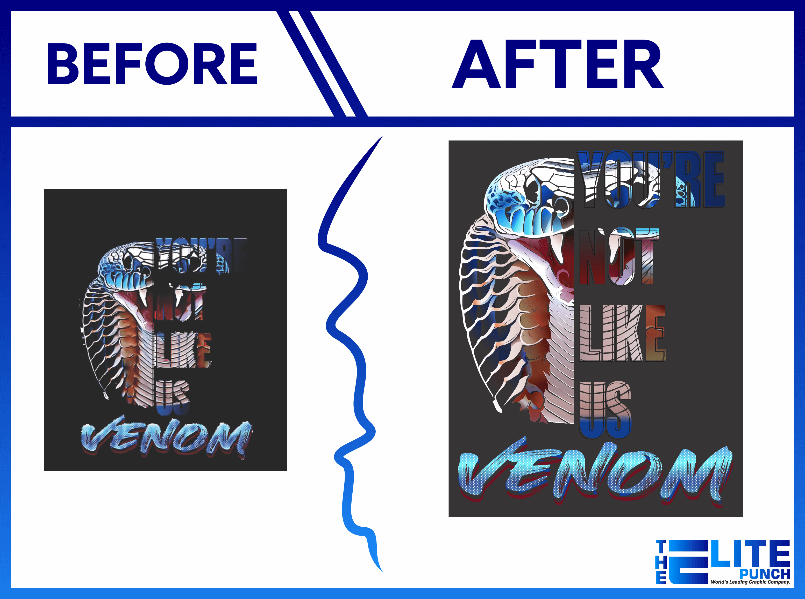 Professional Vector Art Services